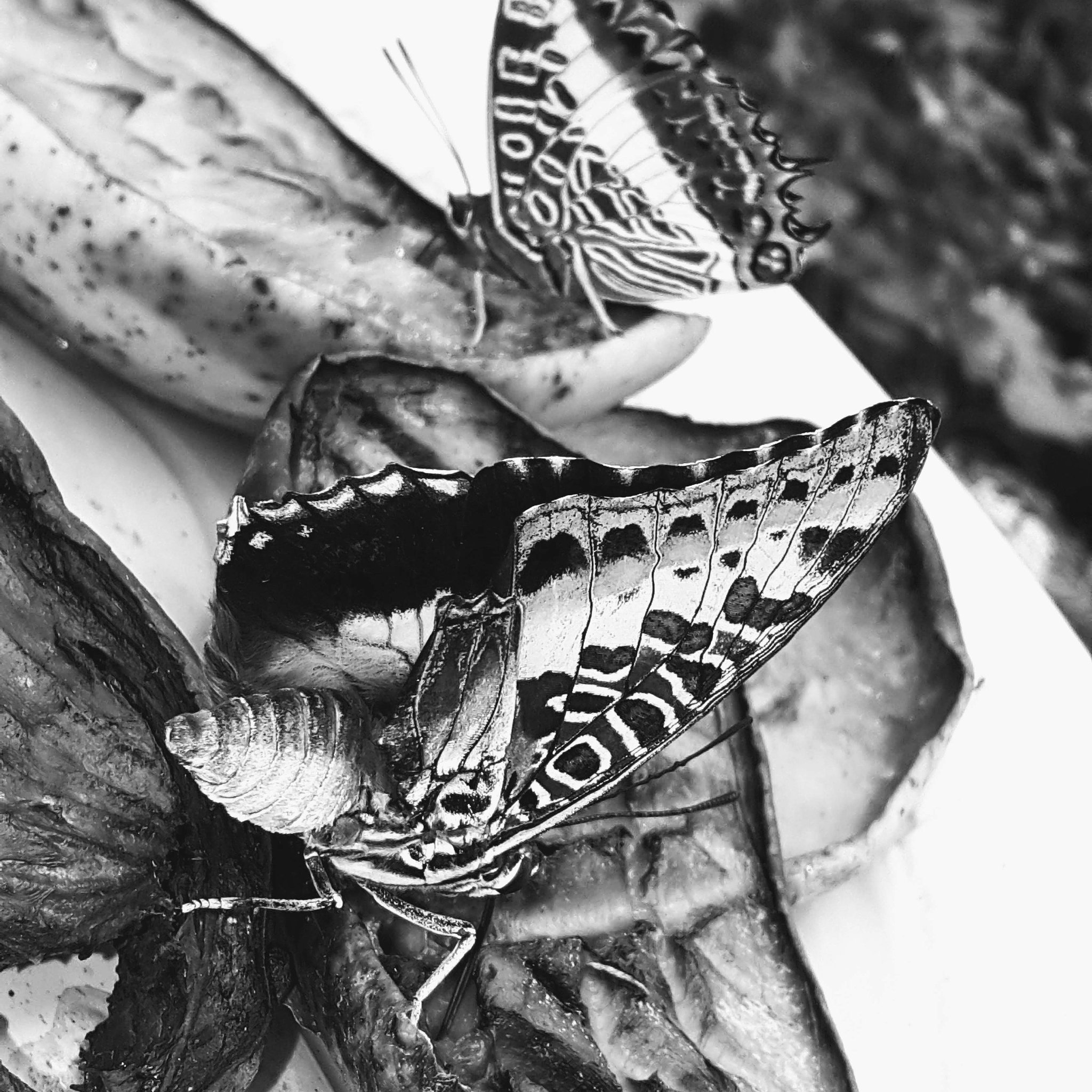 kalimi_'s profile banner image