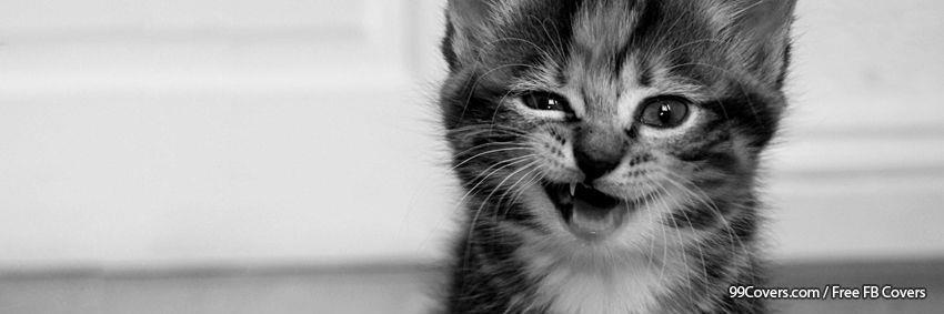 KittySmiIes's profile banner image
