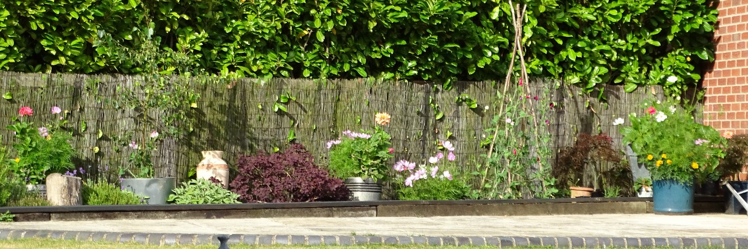HelenRMoore's profile banner image