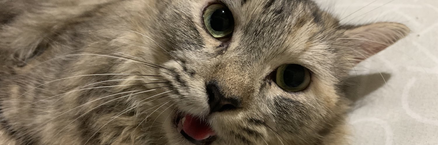 baklafication's profile banner image