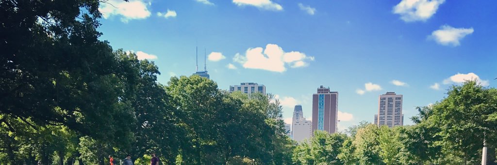 b_gerstle's profile banner image