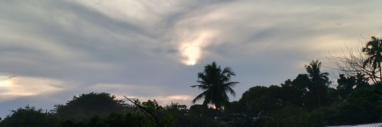 sheapb23's profile banner image