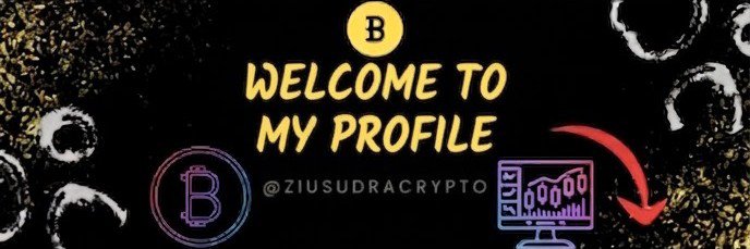 ziusudracrypto's profile banner image