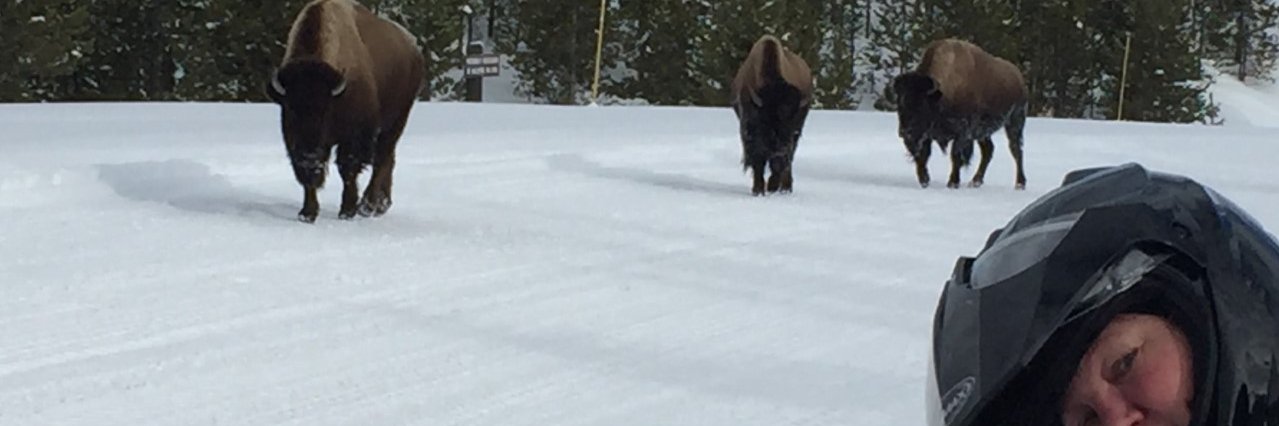 Cheryl Larimer banner