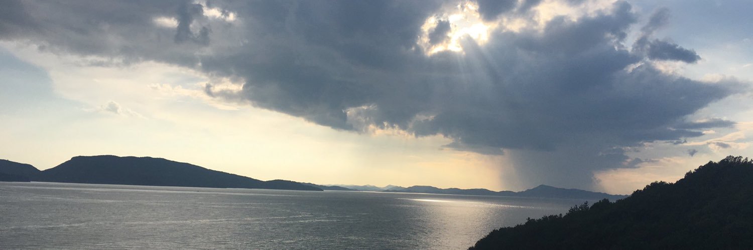 peclneco's profile banner image