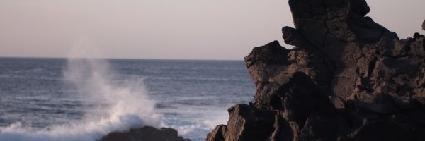profnickhw Profile Banner