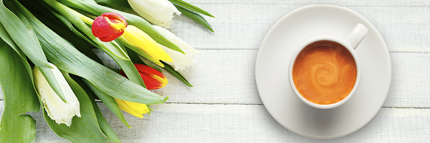CafeTrani's profile banner image