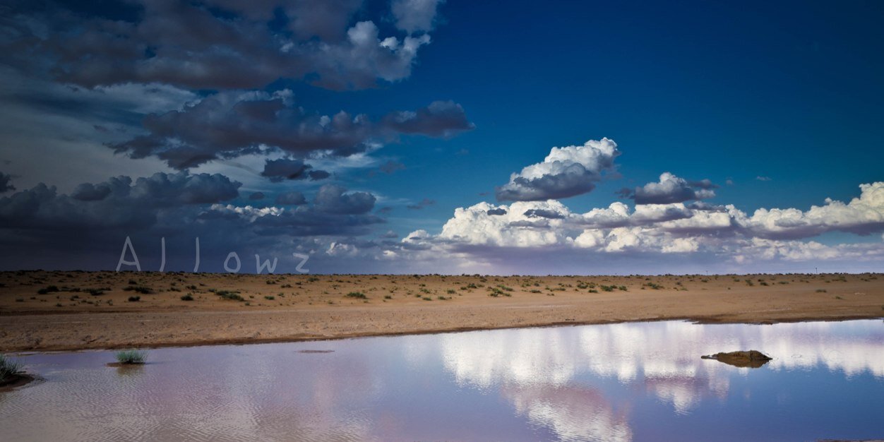 محمد الغنام banner