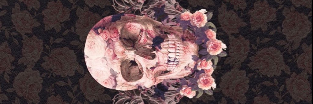 MorganPerna1's profile banner image