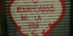 julia_herranz's profile banner image