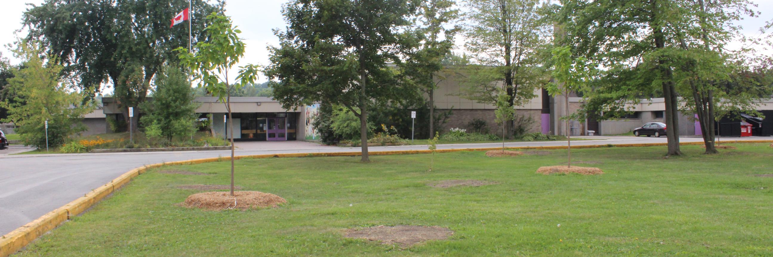 Robert Hopkins PS banner