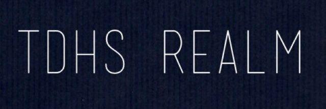 tdhs_realm's profile banner image