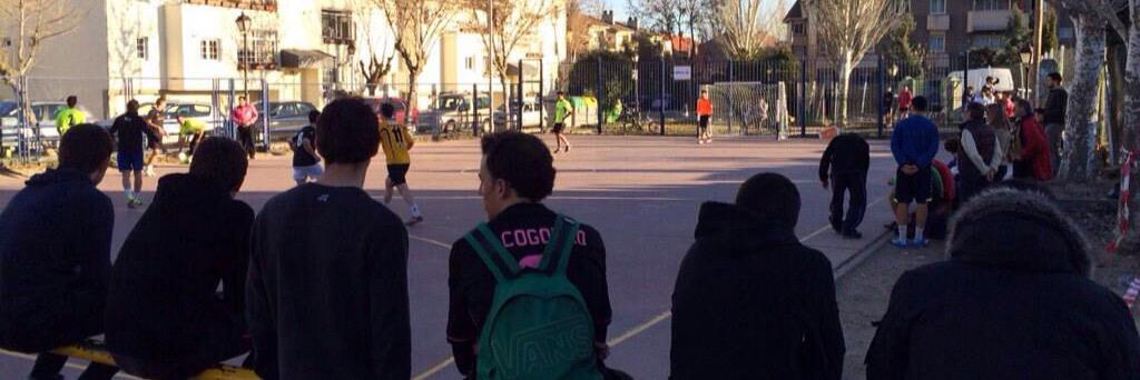 COBSSS banner