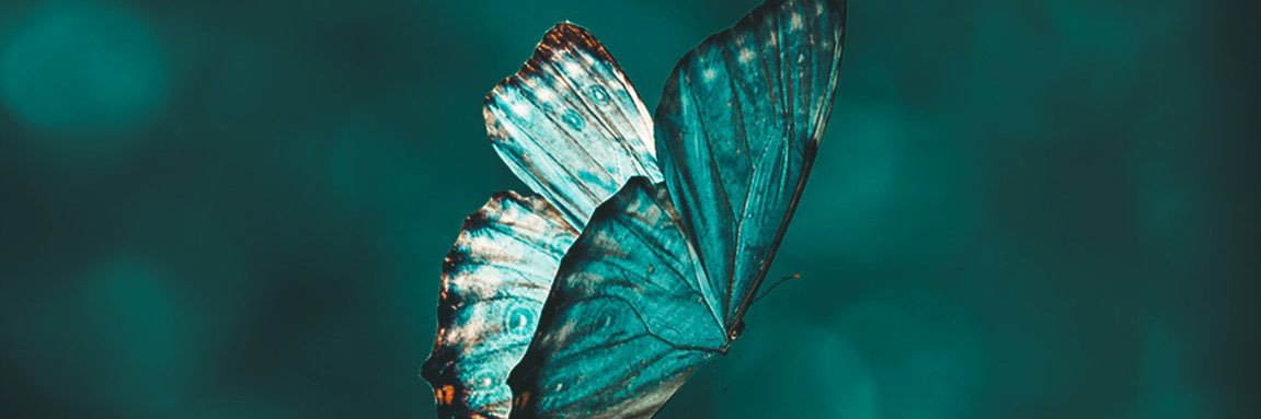 Jéssica Marques banner