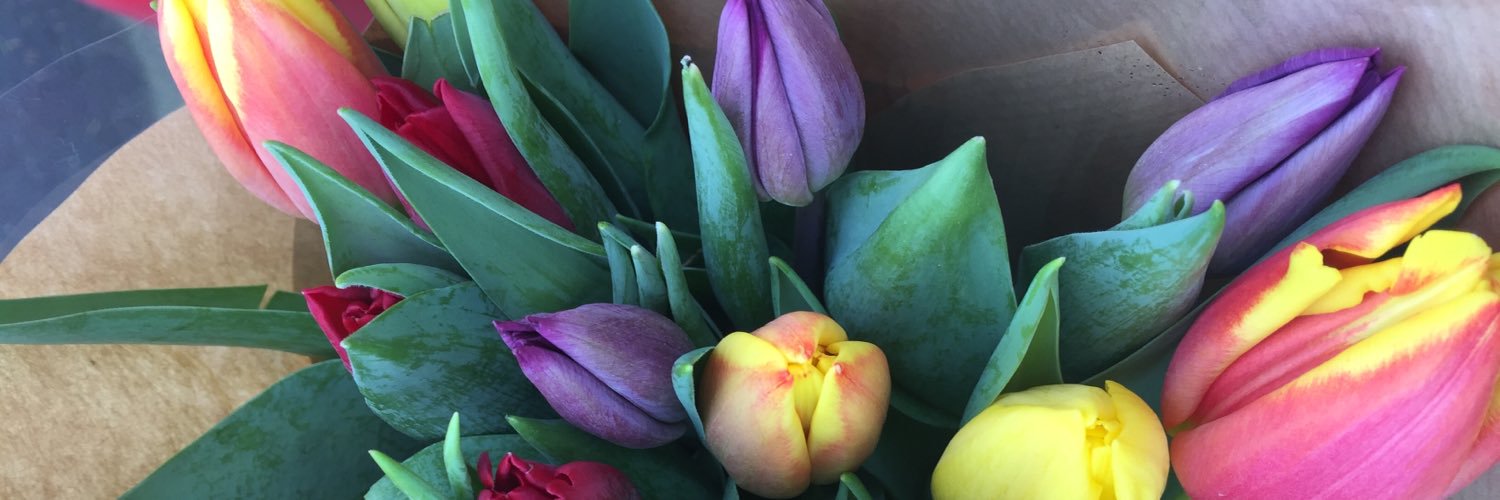 RoseAliceNorton's profile banner image
