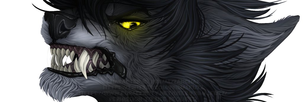 PrimalFuzz's profile banner image
