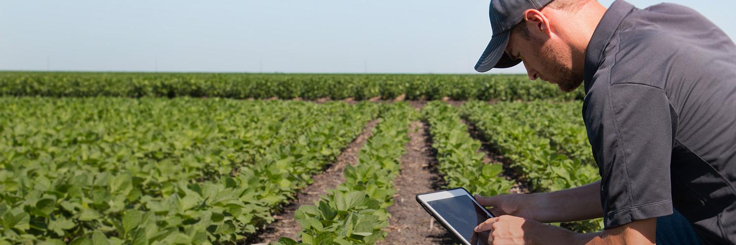 SoAR Foundation banner