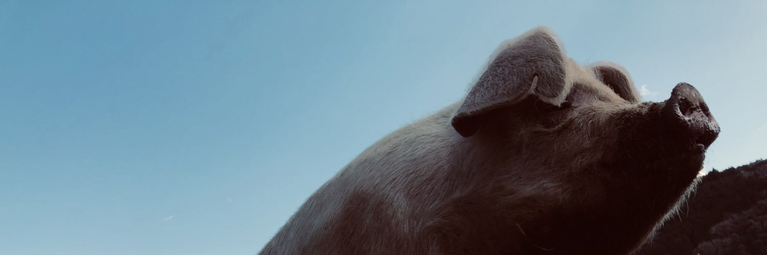 ARIZOU5's profile banner image