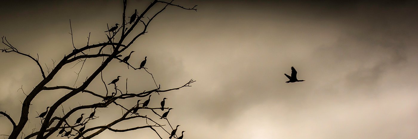popemichael66's profile banner image