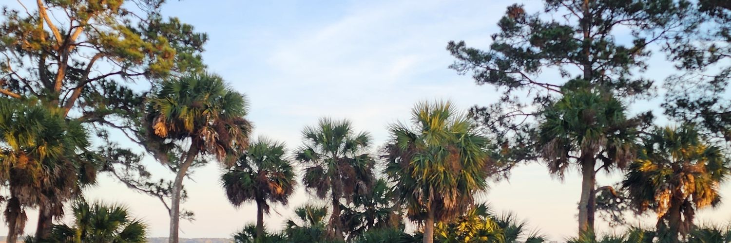 fuggestate's profile banner image