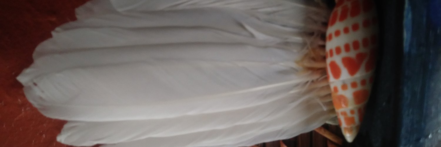 cathairs's profile banner image