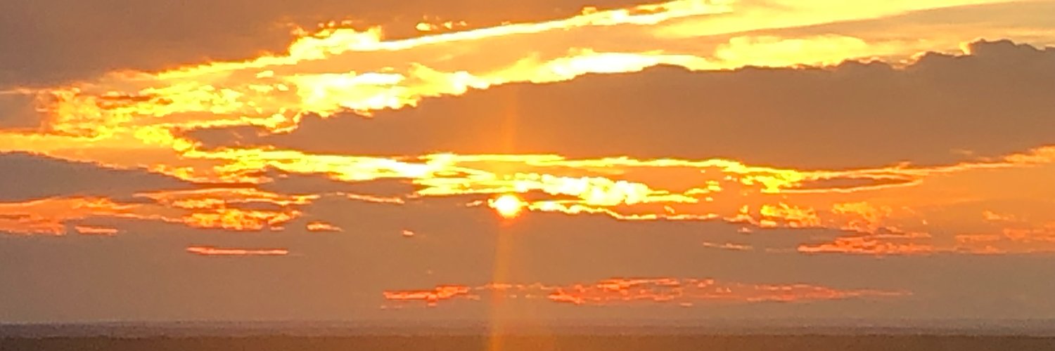 The Wells Report banner