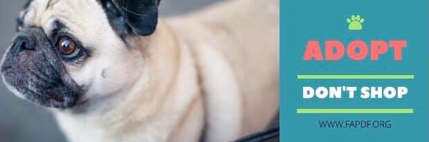 FAPDFoundation's profile banner image