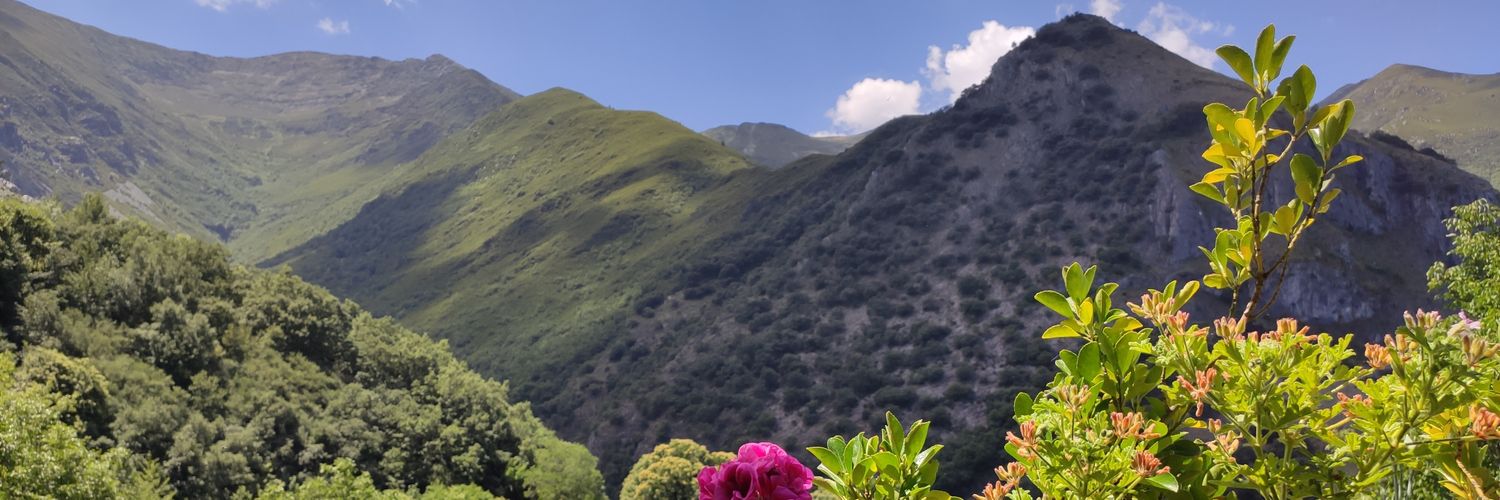 InesSampedro's profile banner image