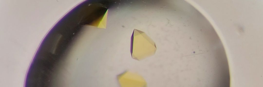CecileExertier's profile banner image