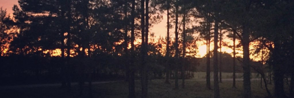 NWRNail's profile banner image