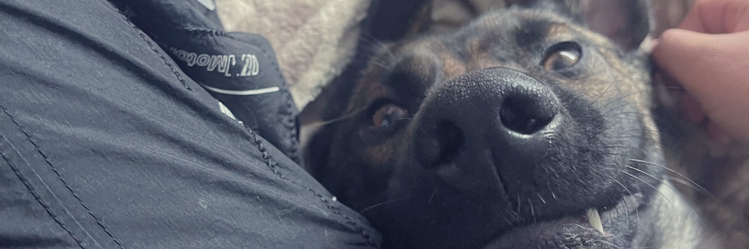 securoservvv's profile banner image