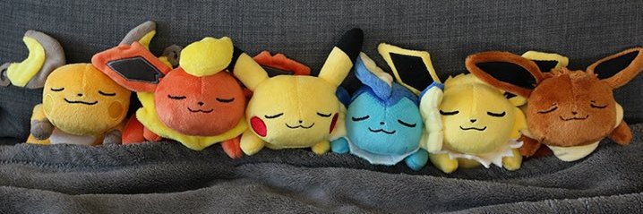 RayrayVGC's profile banner image