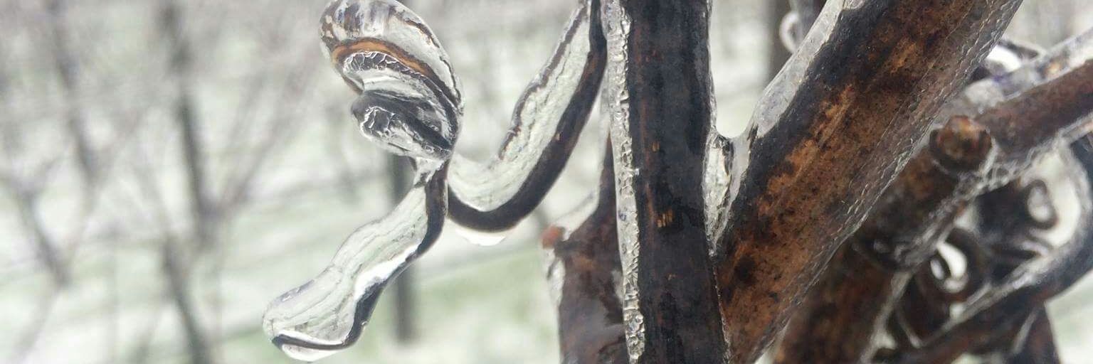 oregonwinepress's profile banner image