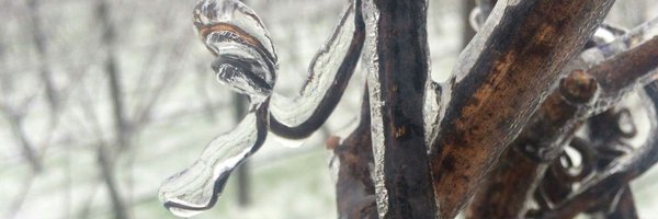 oregonwinepress Profile Banner