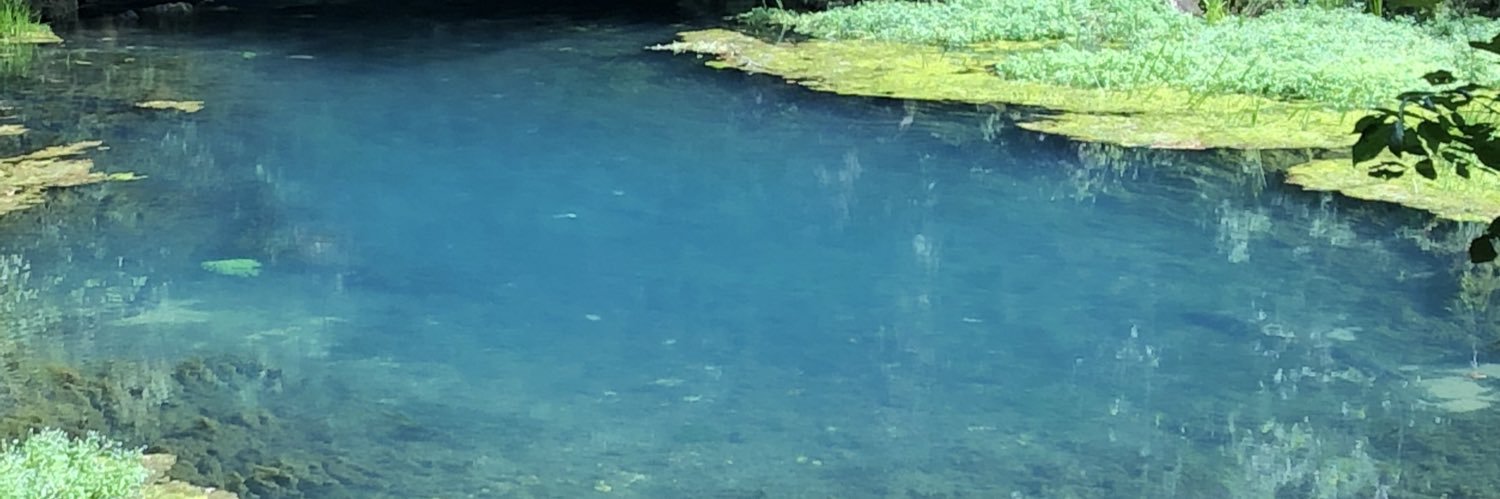 kdparks09's profile banner image
