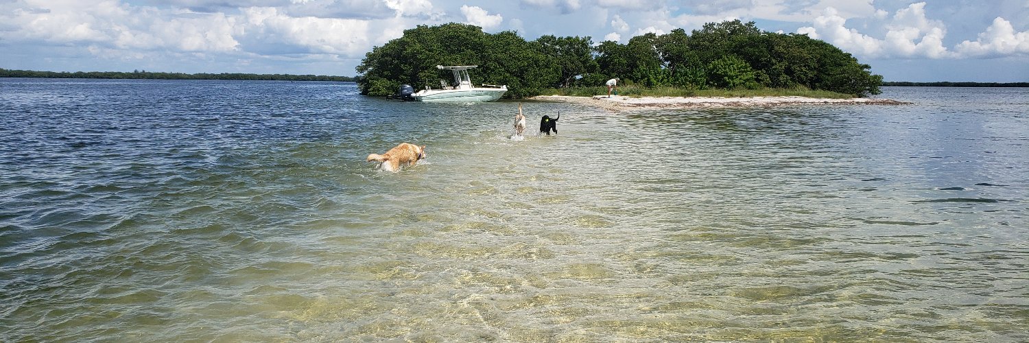 Mark Hoogendoorn banner