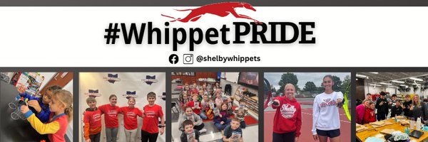 shelbywhippets Profile Banner