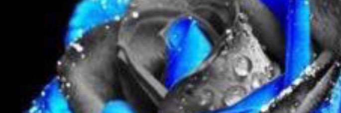 deltalynz's profile banner image