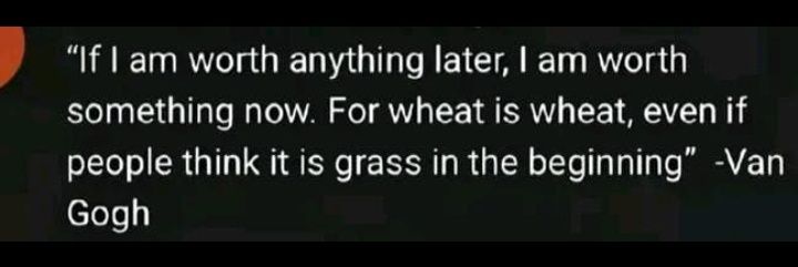 Da Lie Llama 🦙+😎 banner