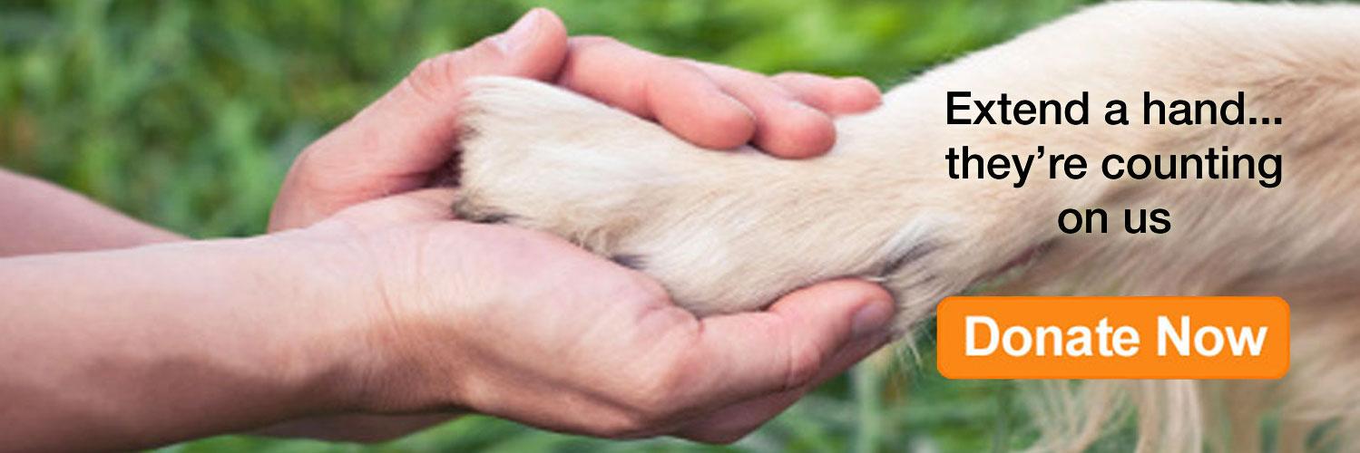 CenterforPetSafety banner