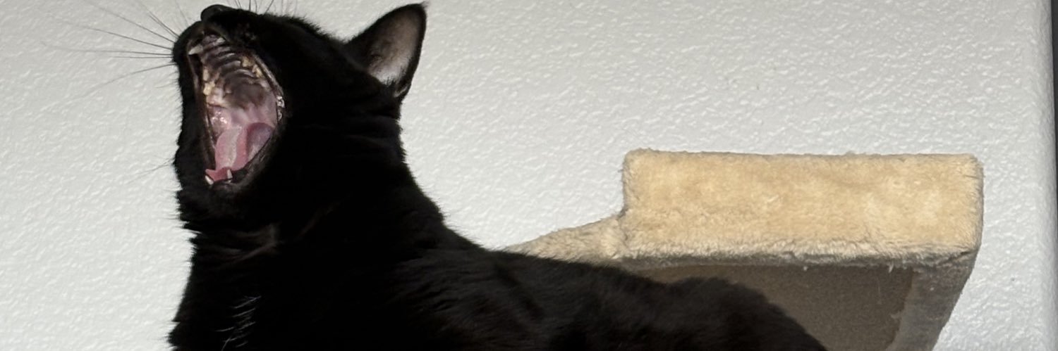 FMRDPT's profile banner image