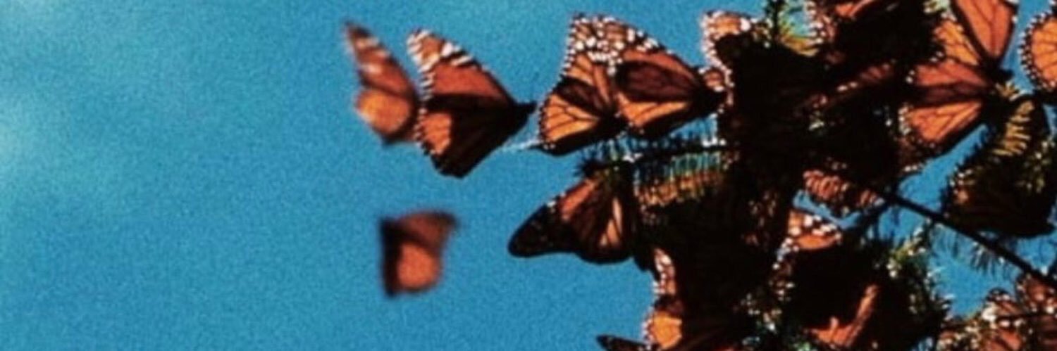 𝔞𝔯𝔦𝔞𝔫𝔞. banner