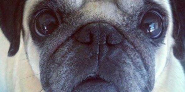 YampiDelgado's profile banner image