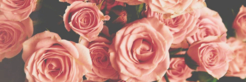 jezzzka's profile banner image
