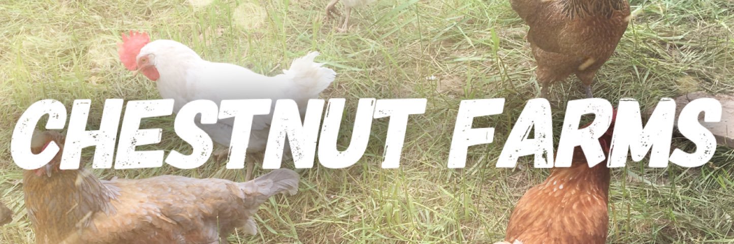 chestnutbpm's profile banner image