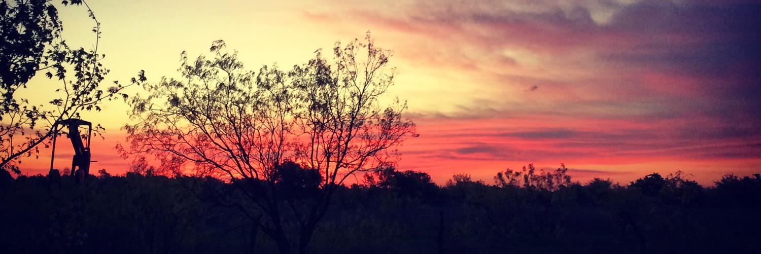 miles_of_fun's profile banner image