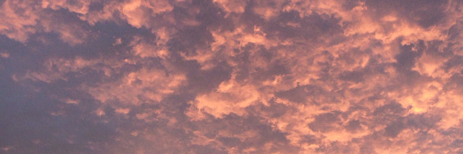 carmelapetrini's profile banner image