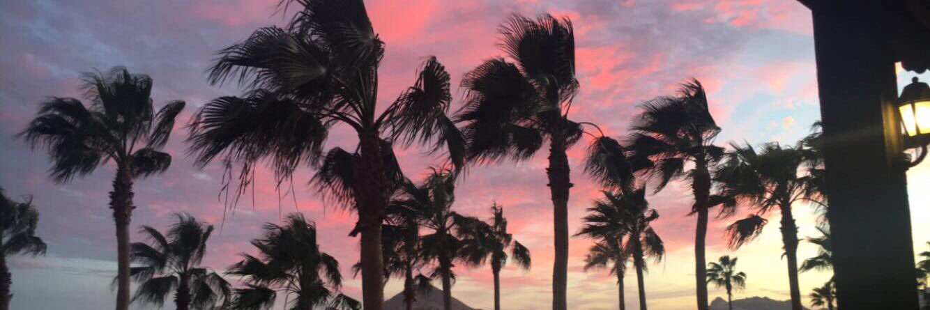 Jessica_Ripic's profile banner image