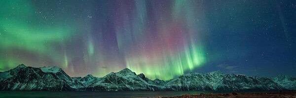 irdina93's profile banner image