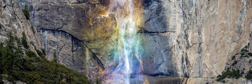 Stephen Gurnick banner